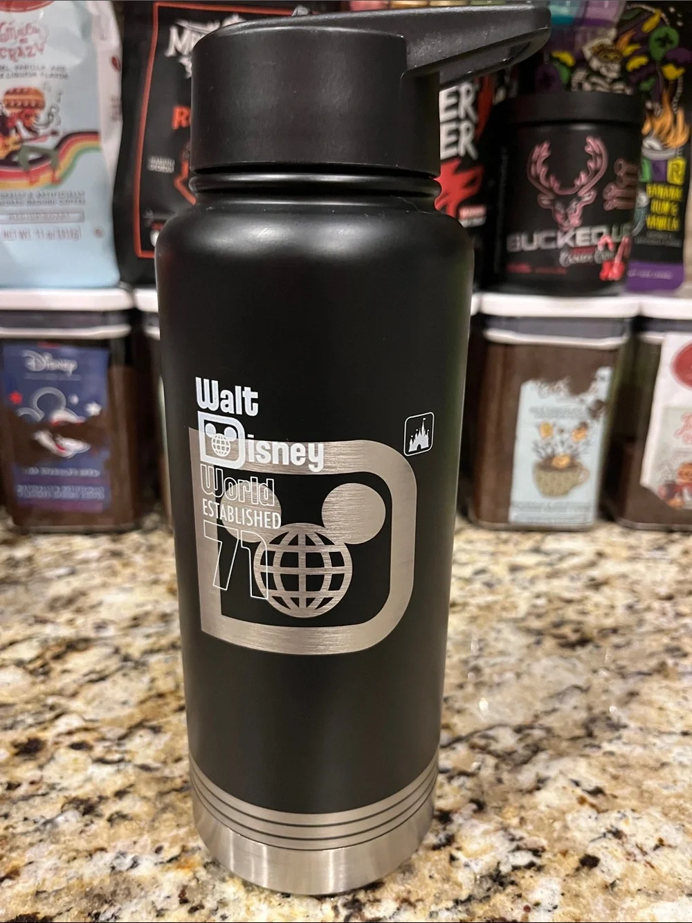 Walt Disney World Black Dreams Do Come True Stainless Steel Water Bottle